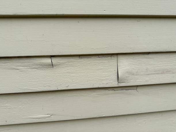 Best Vinyl Siding Installation  in Security Widefield, CO